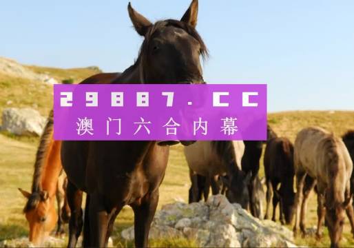 新澳门管家婆一肖一码;词语释义解释落实